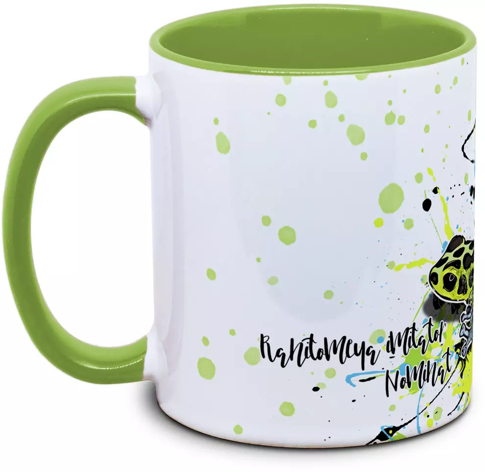 Ranitomeya imitator Nominat - Tassenkasper