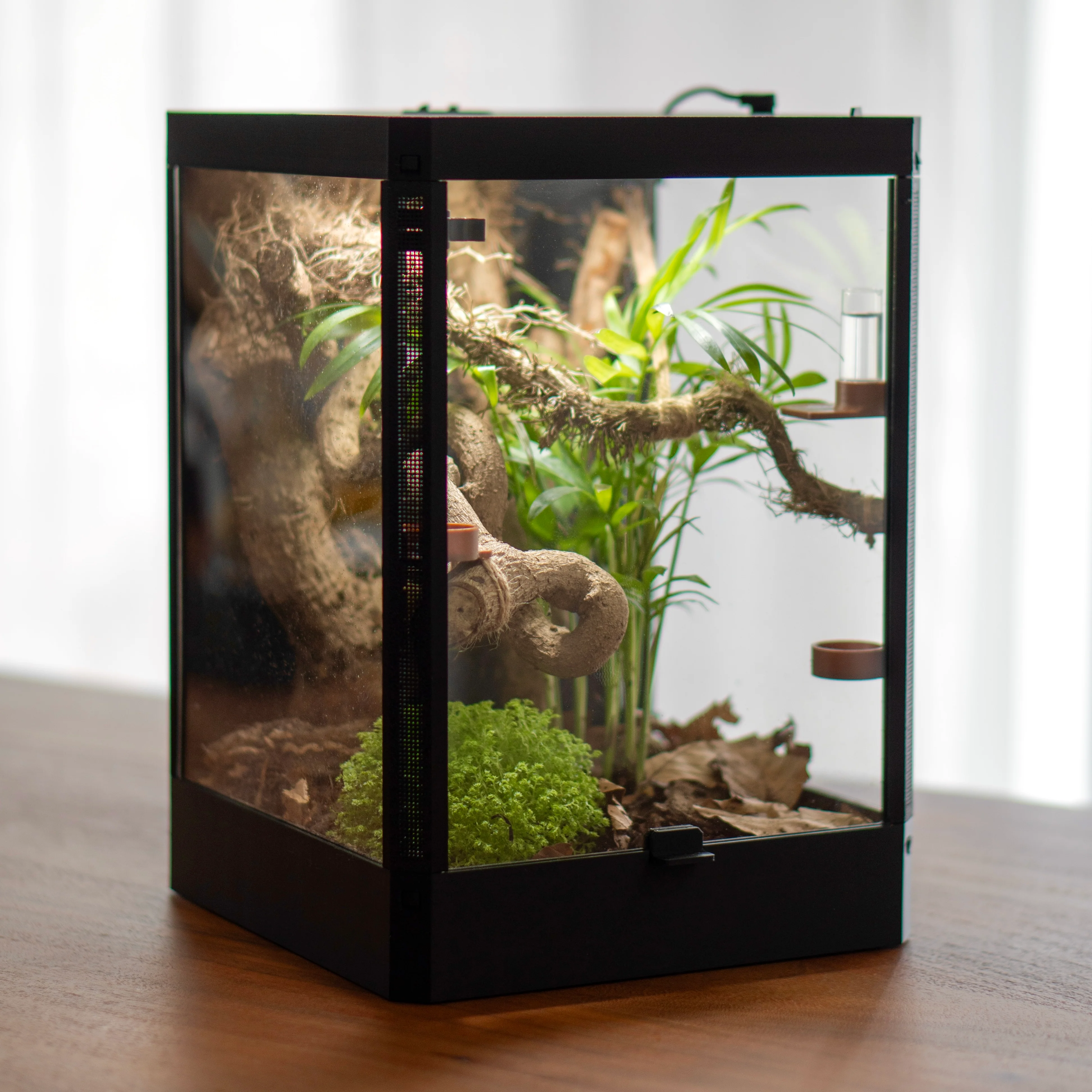 BioFaunaCube - LucaTech3D