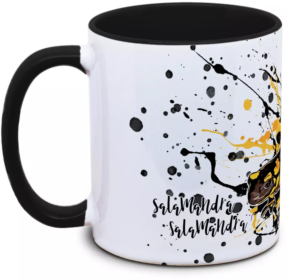 Salamandra salamandra (gelb) - Tassenkasper