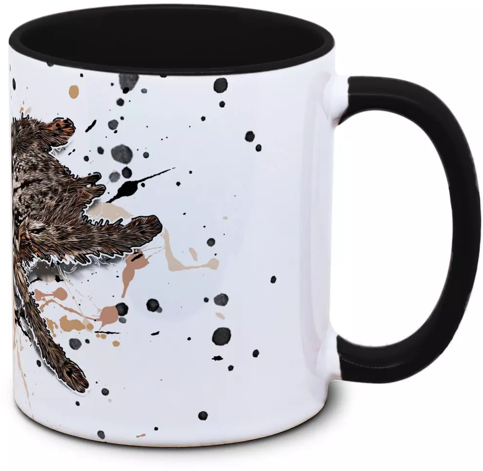 Heteroscodra maculata - Tassenkasper