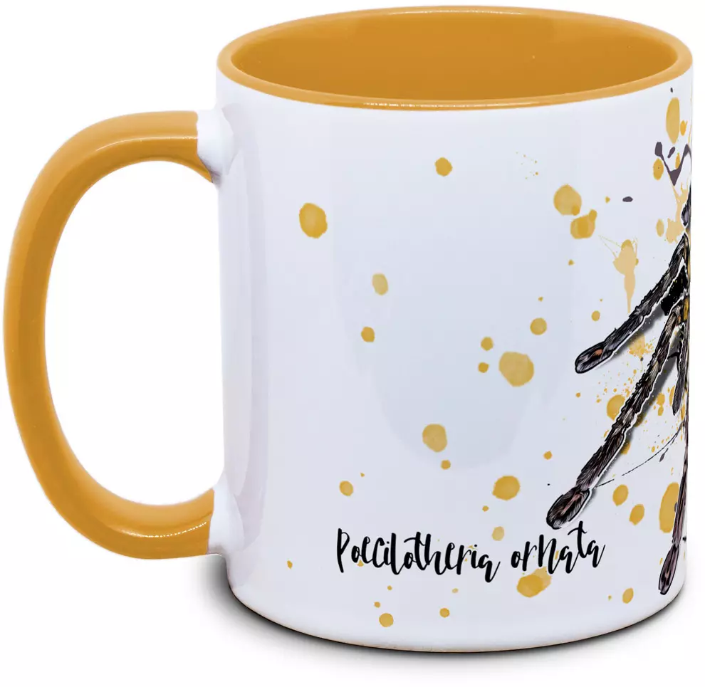 Poecilotheria ornata - Tassenkasper