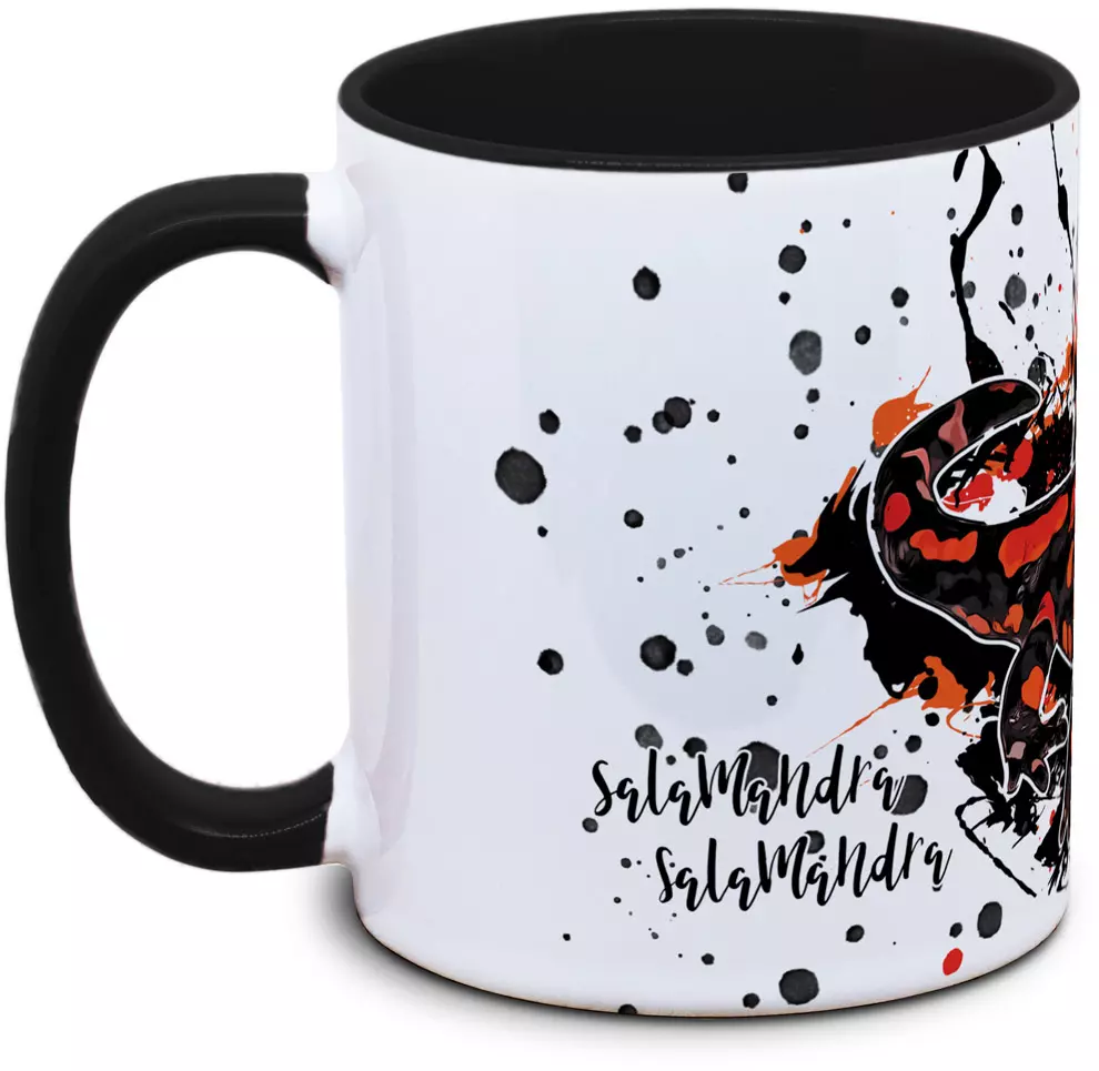 Salamandra salamandra (rot) - Tassenkasper