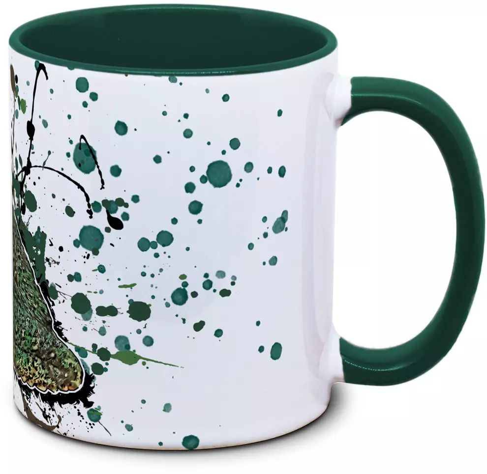 Ecnomiohyla valancifer - Tassenkasper