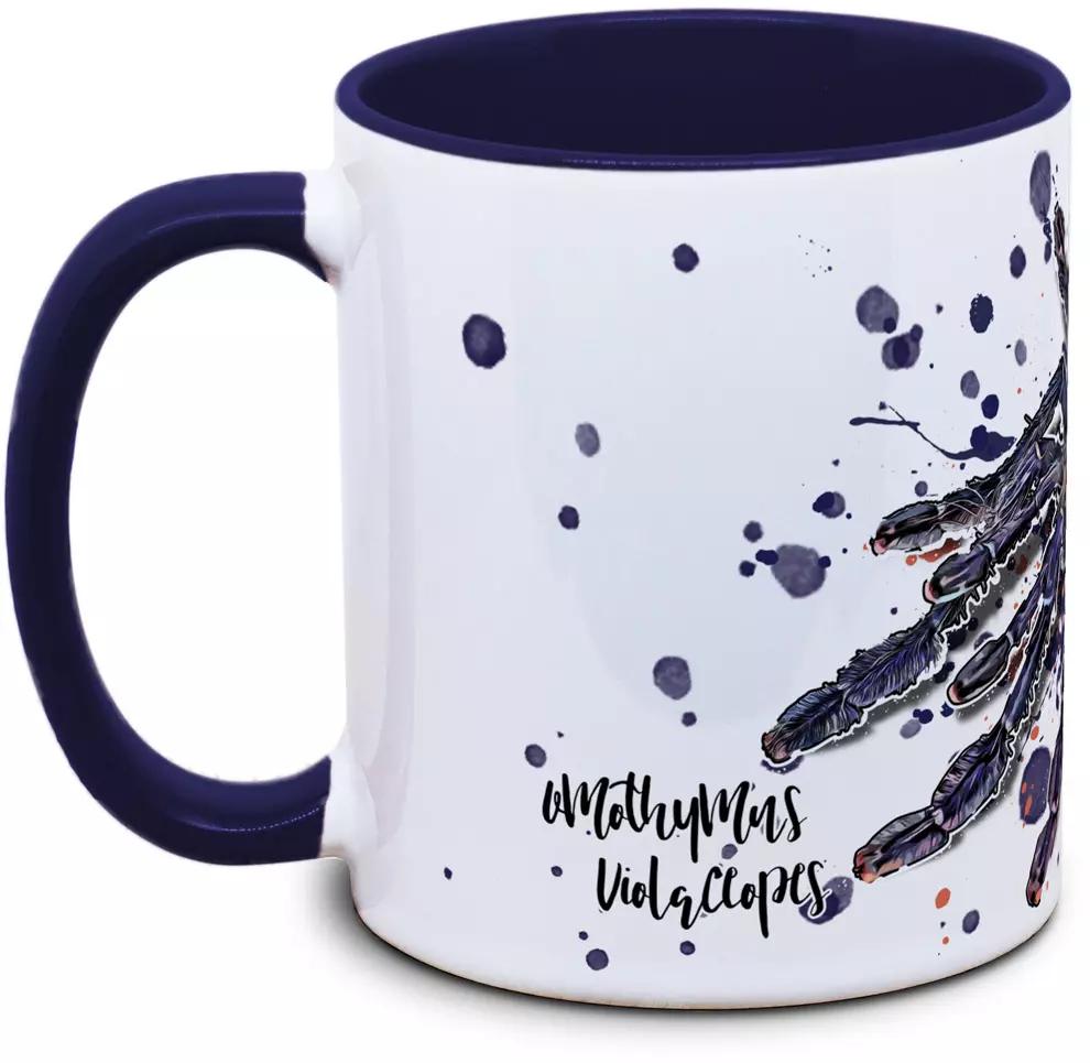 Omothymus violaceopes - Tassenkasper