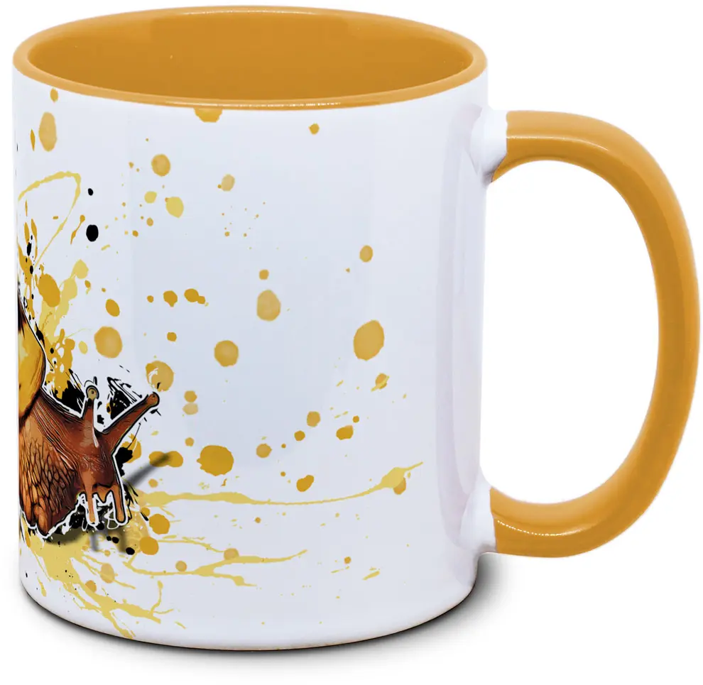 Lissachatina albopicta - Tassenkasper