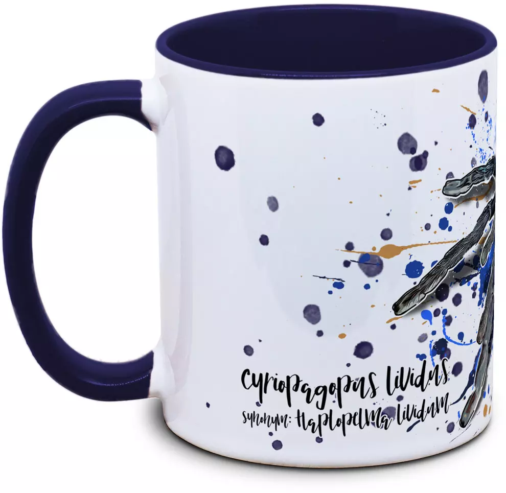 Cyriopagopus lividus - Tassenkasper