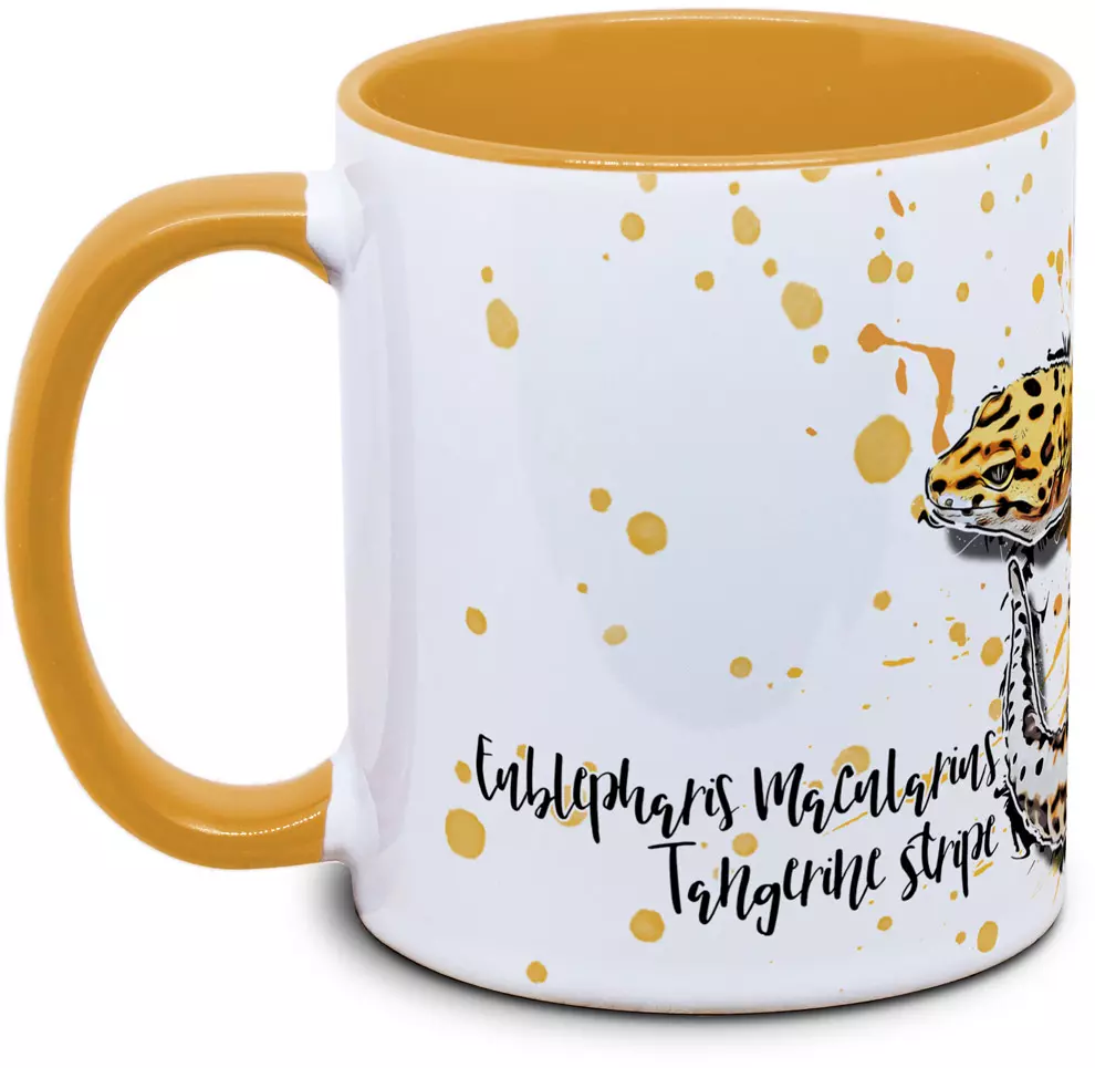 Eublepharis macularius tangerine stripe - Tassenkasper