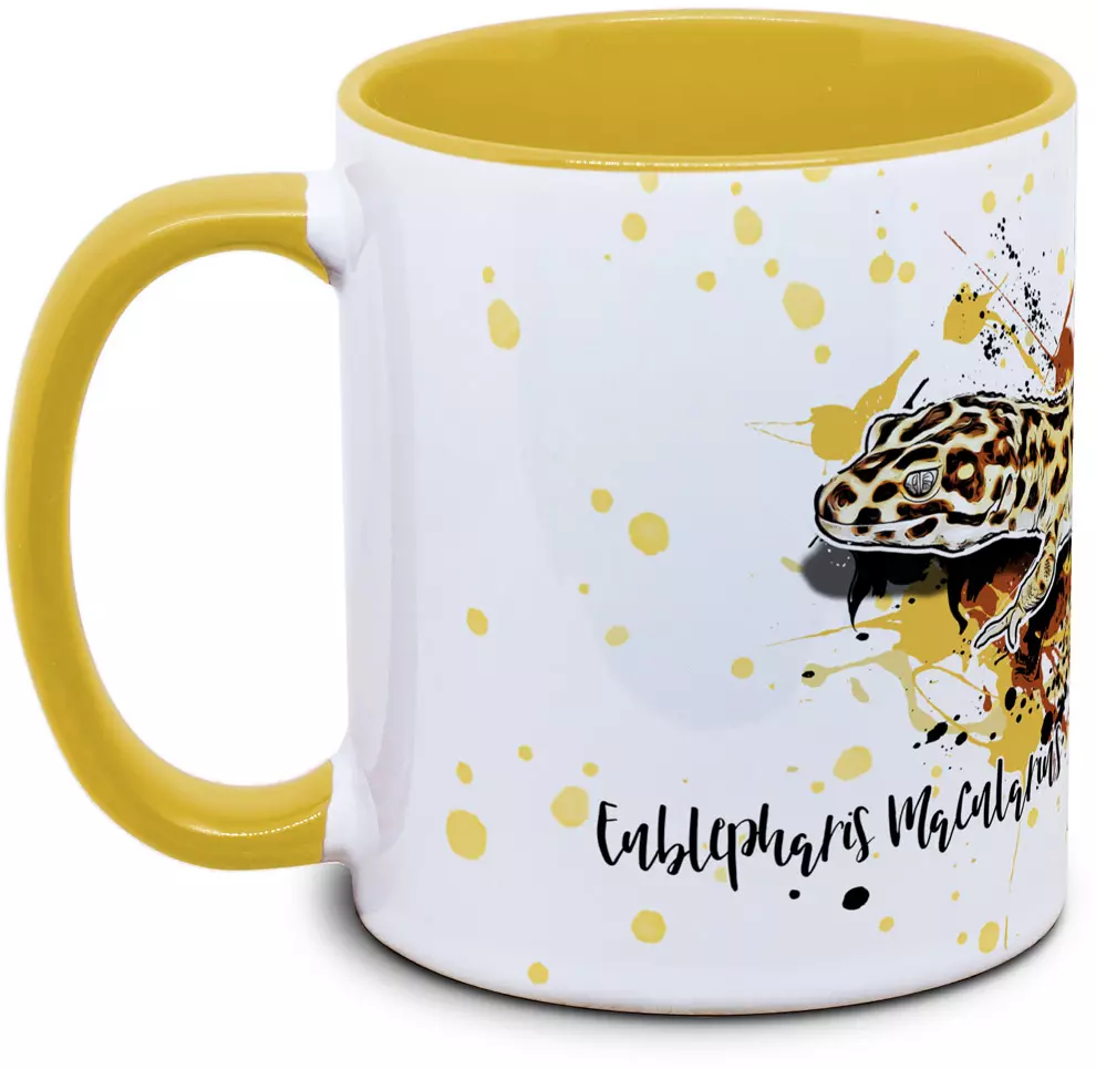 Eublepharis macularius - Tassenkasper