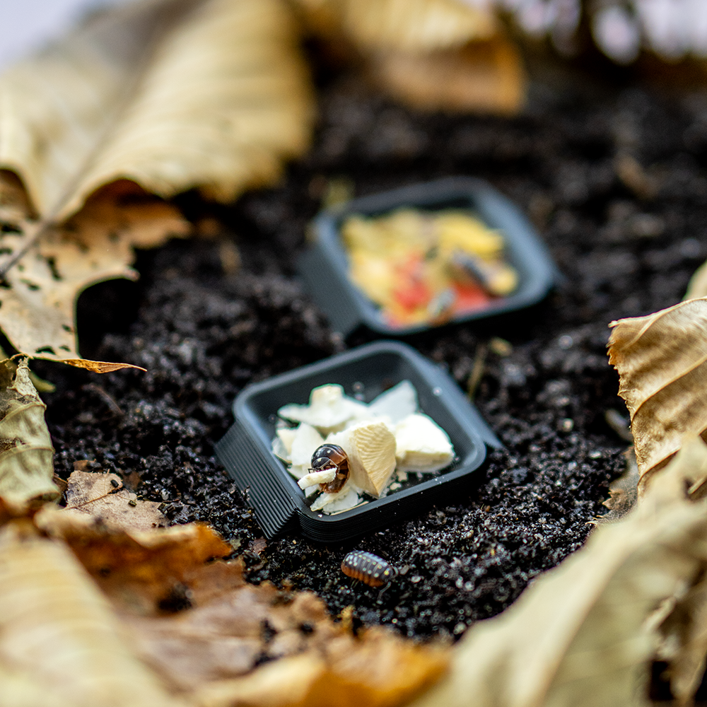 Asselnapf - LucaTech3D