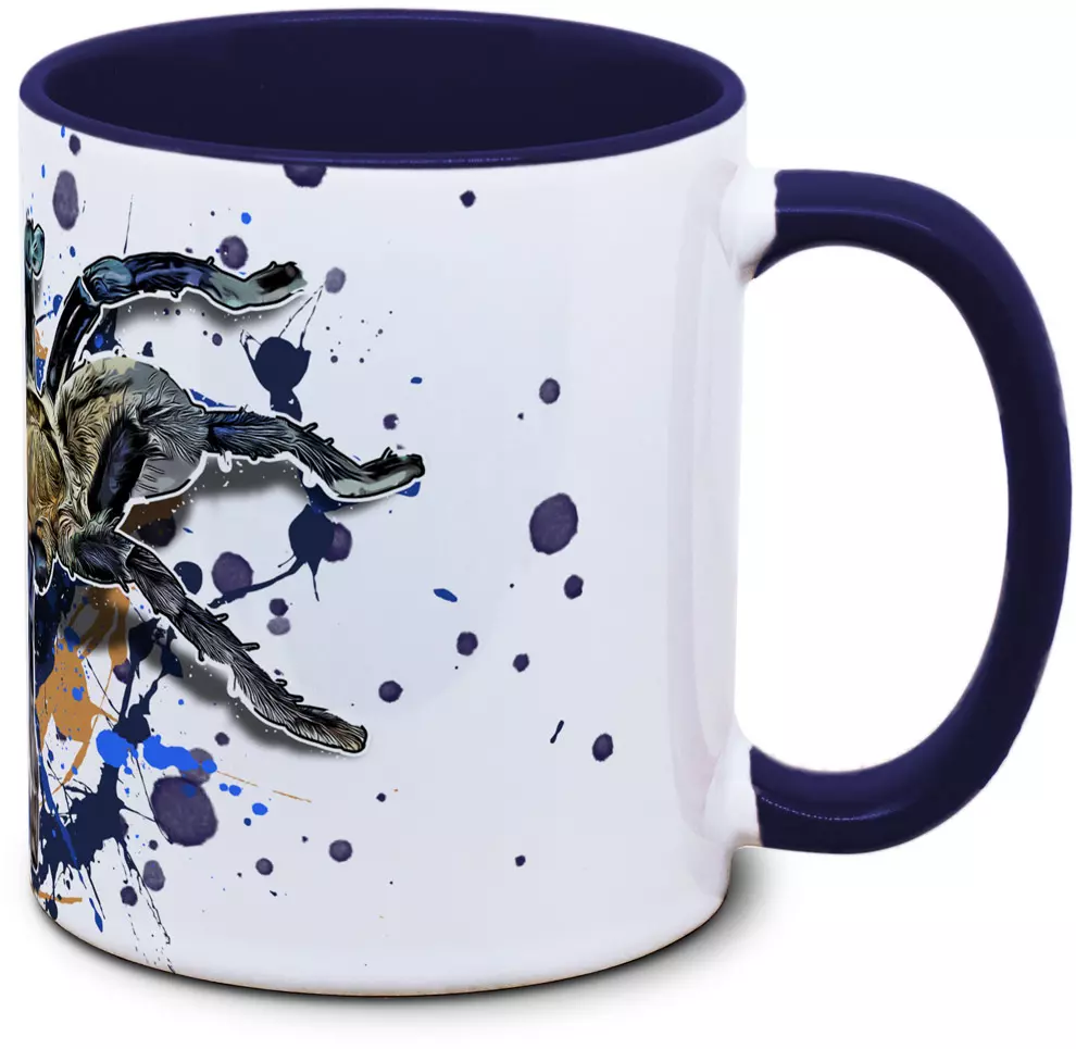 Cyriopagopus lividus - Tassenkasper