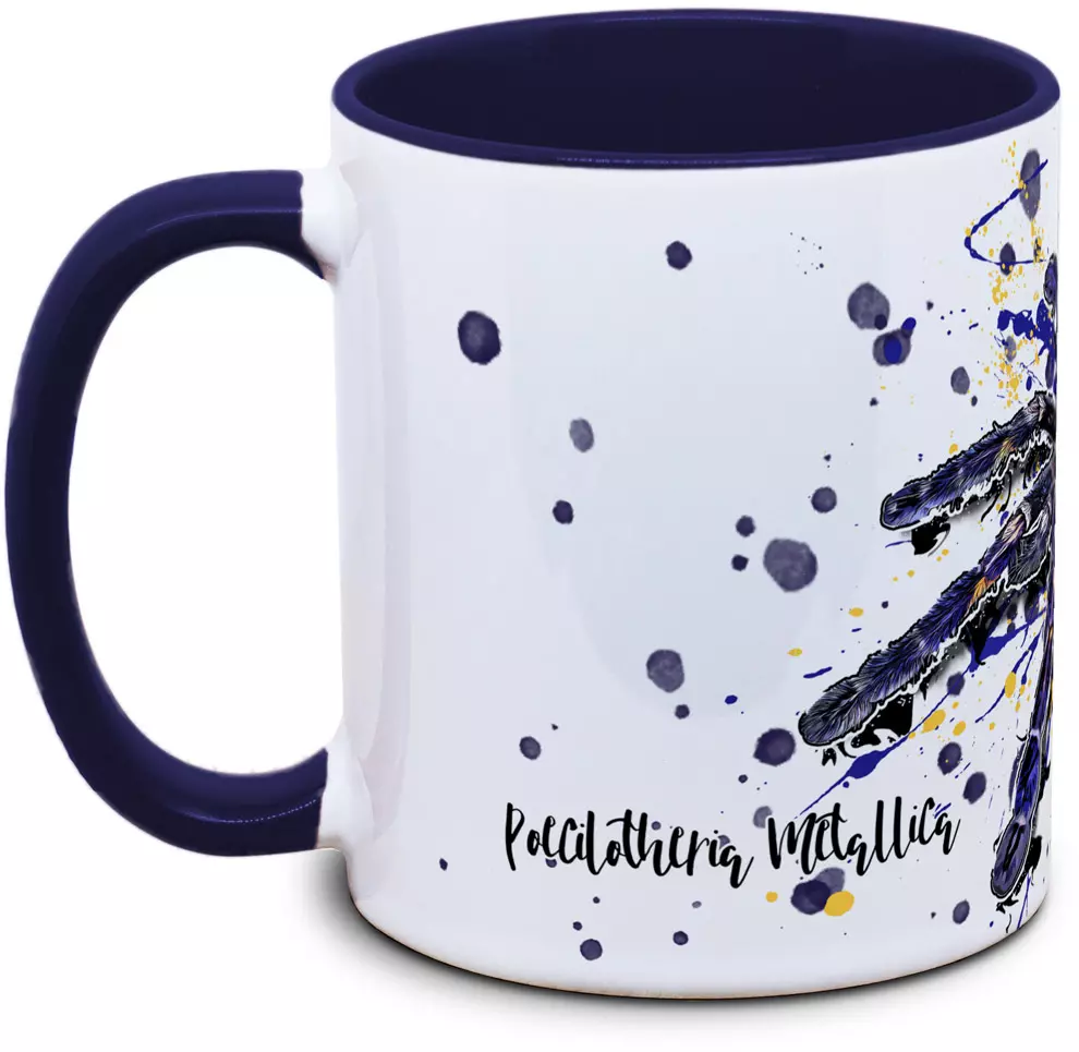 Poecilotheria metallica - Tassenkasper