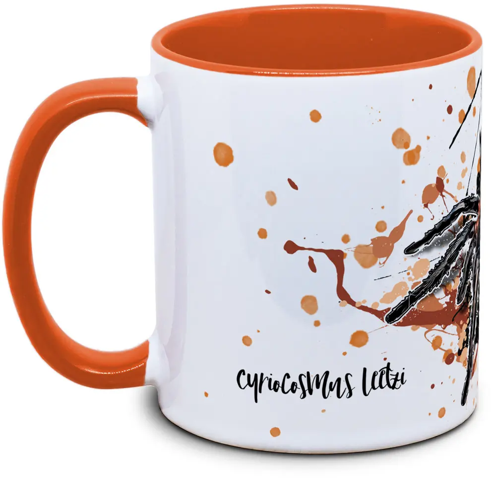 Cyriocosmus leetzi - Tassenkasper