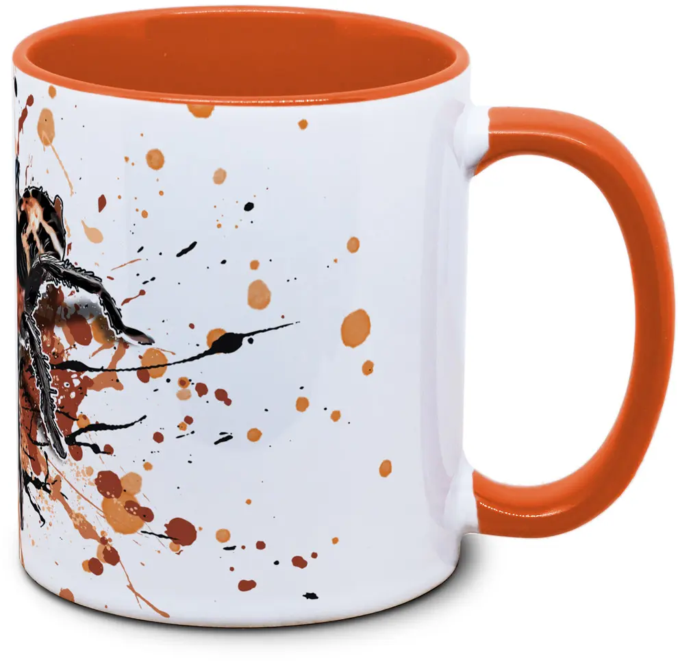 Cyriocosmus leetzi - Tassenkasper