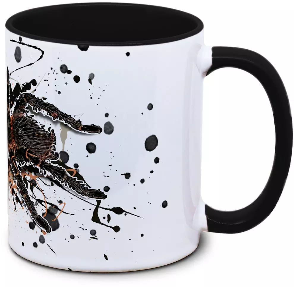 Lasiodora parahybana - Tassenkasper