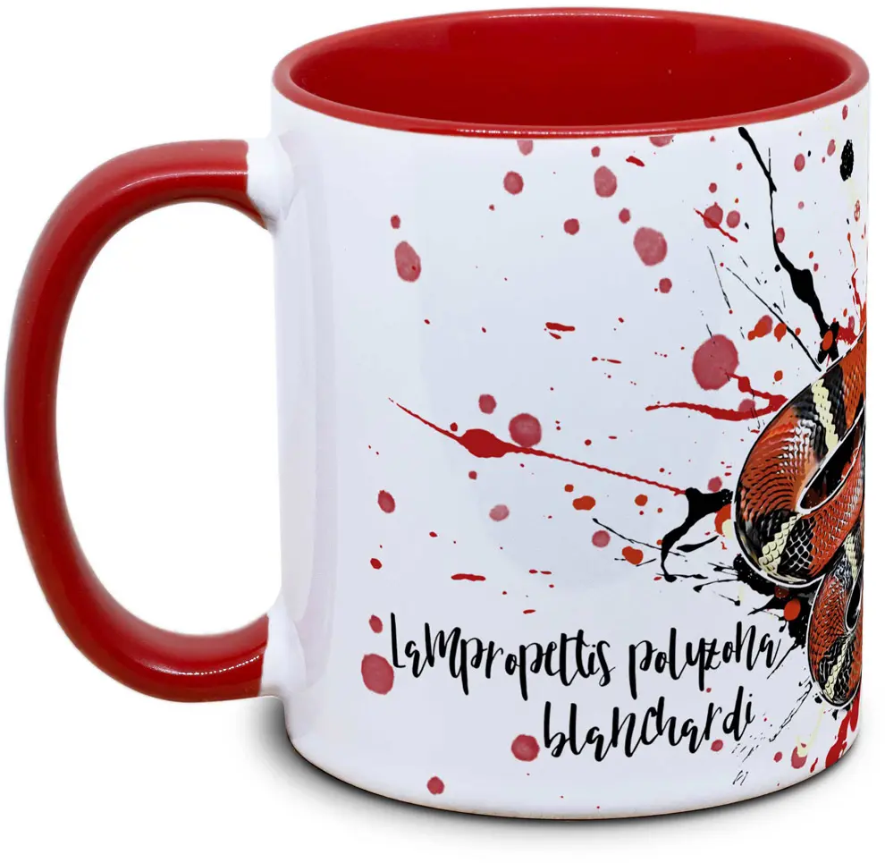 Lampropeltis polyzona blanchardi - Tassenkasper