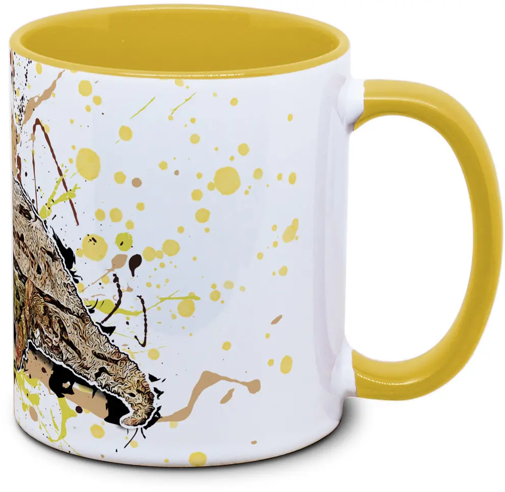 Rieppeleon brevicaudatus - Tassenkasper