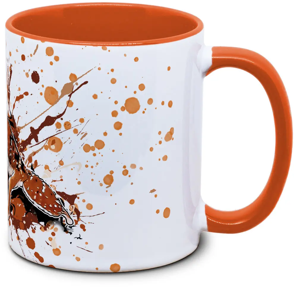 Nephrurus levis levis - Tassenkasper