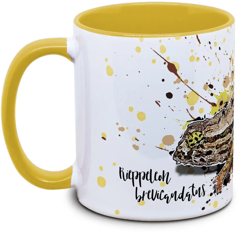 Rieppeleon brevicaudatus - Tassenkasper