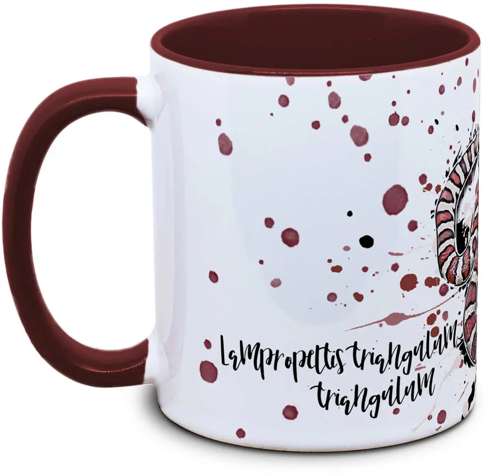 Lampropeltis triangulum triangulum - Tassenkasper