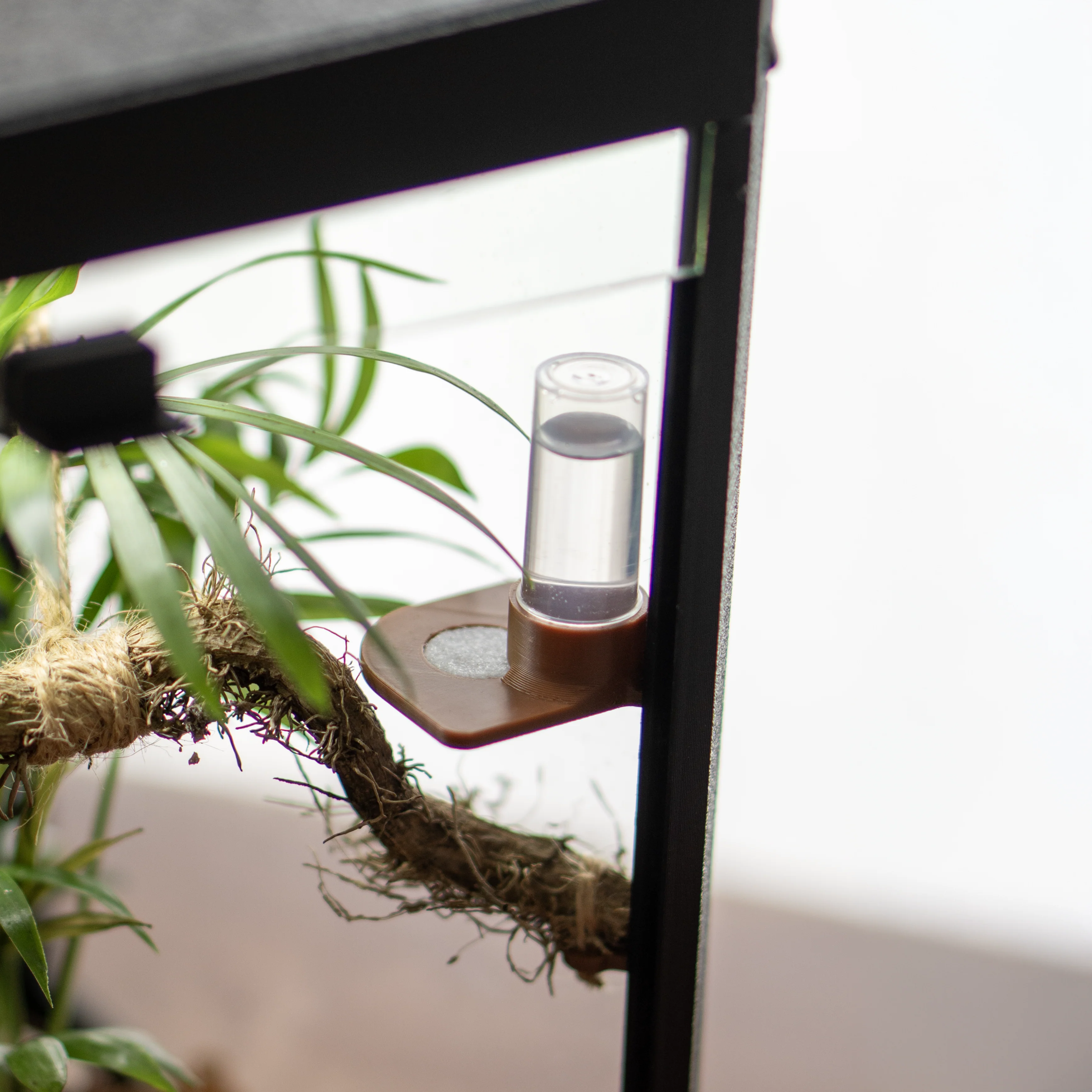 Spinnentränke für BioFaunaCube - LucaTech3D