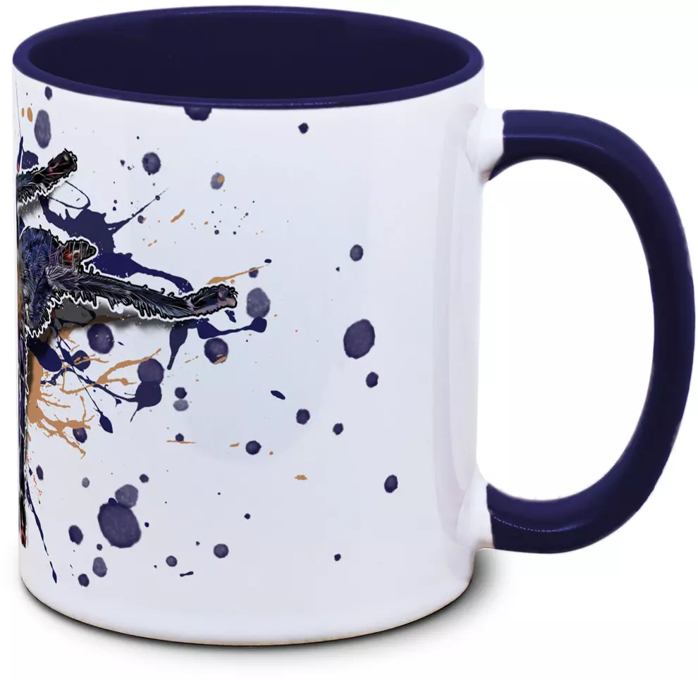 Omothymus violaceopes - Tassenkasper