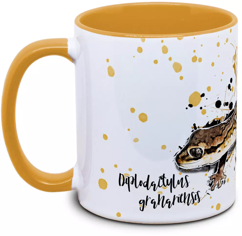 Diplodactylus granariensis - Tassenkasper