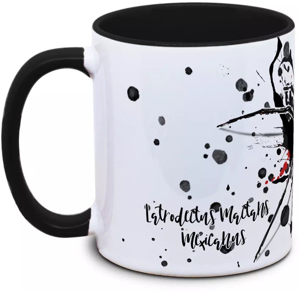 Latrodectus mactans mexicanus - Tassenkasper