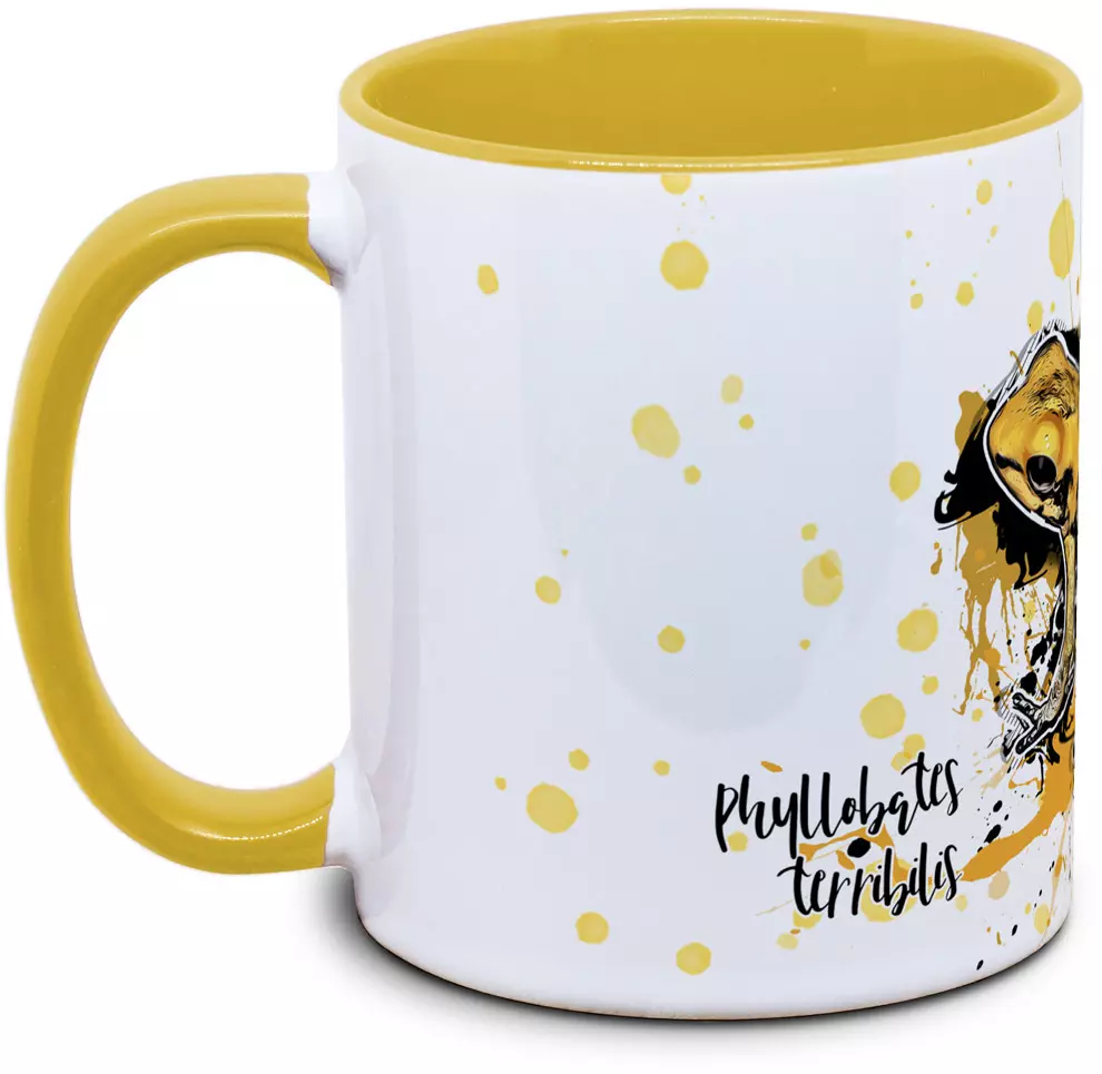 Phyllobates terribilis - Tassenkasper