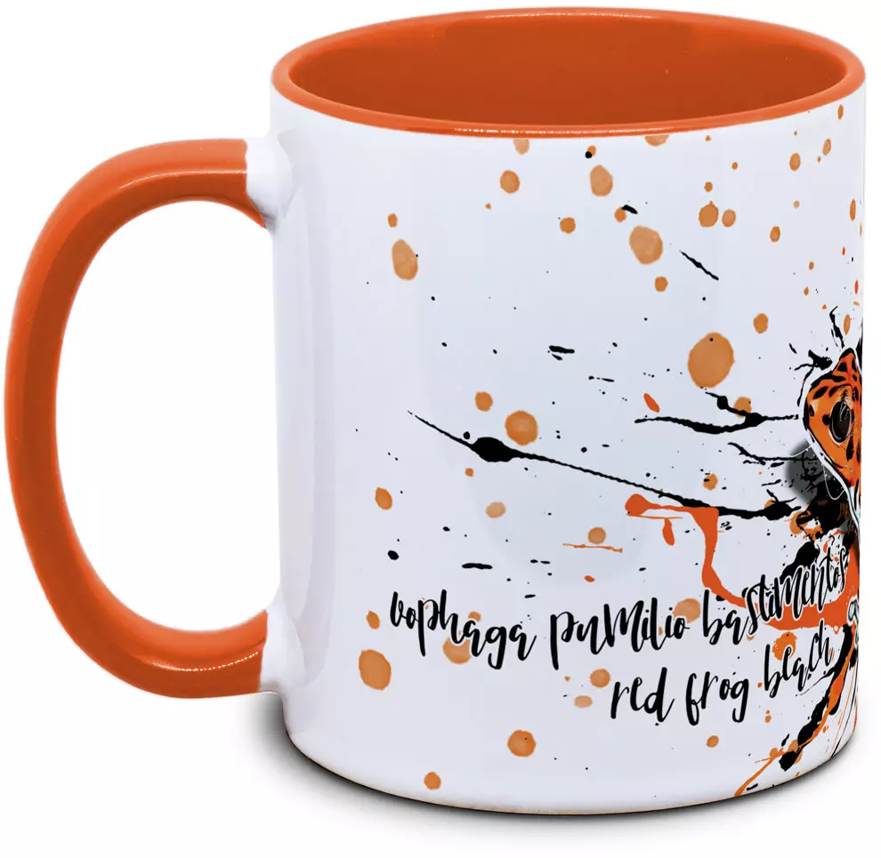 Oophaga pumilio bastimentos - Tassenkasper