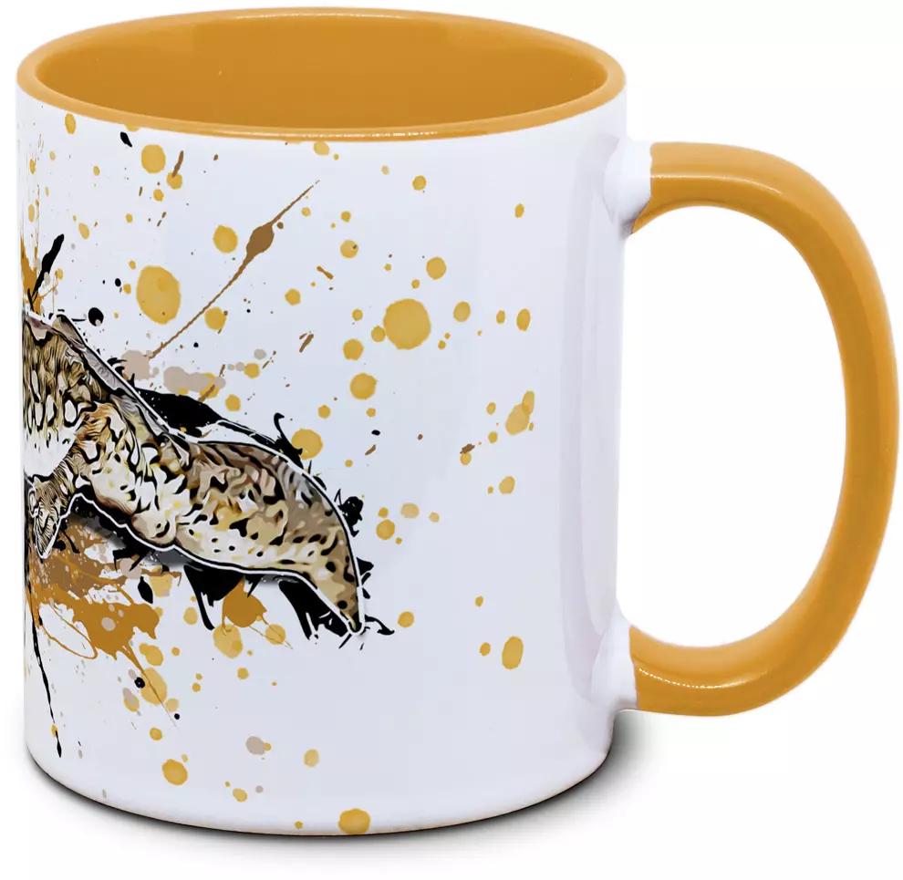 Diplodactylus granariensis - Tassenkasper