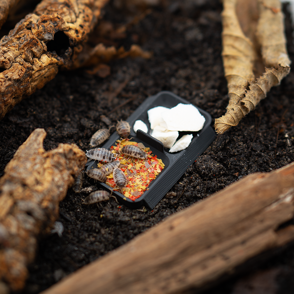 Asseldoppelnapf - LucaTech3D