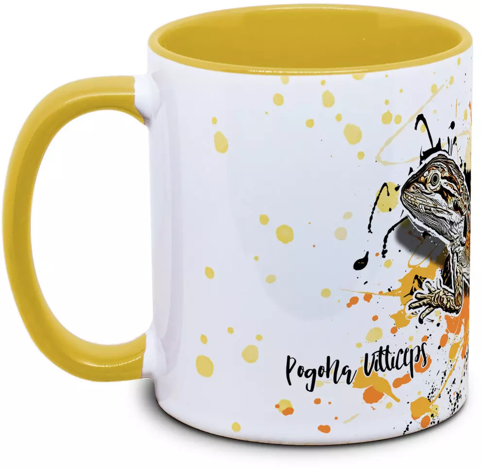 Pogona vitticeps - Tassenkasper