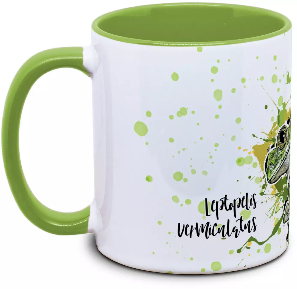 Leptopelis vermiculatus - Tassenkasper