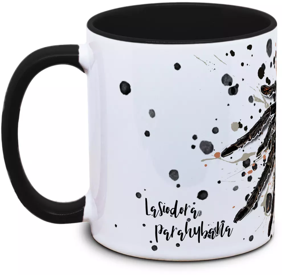 Lasiodora parahybana - Tassenkasper