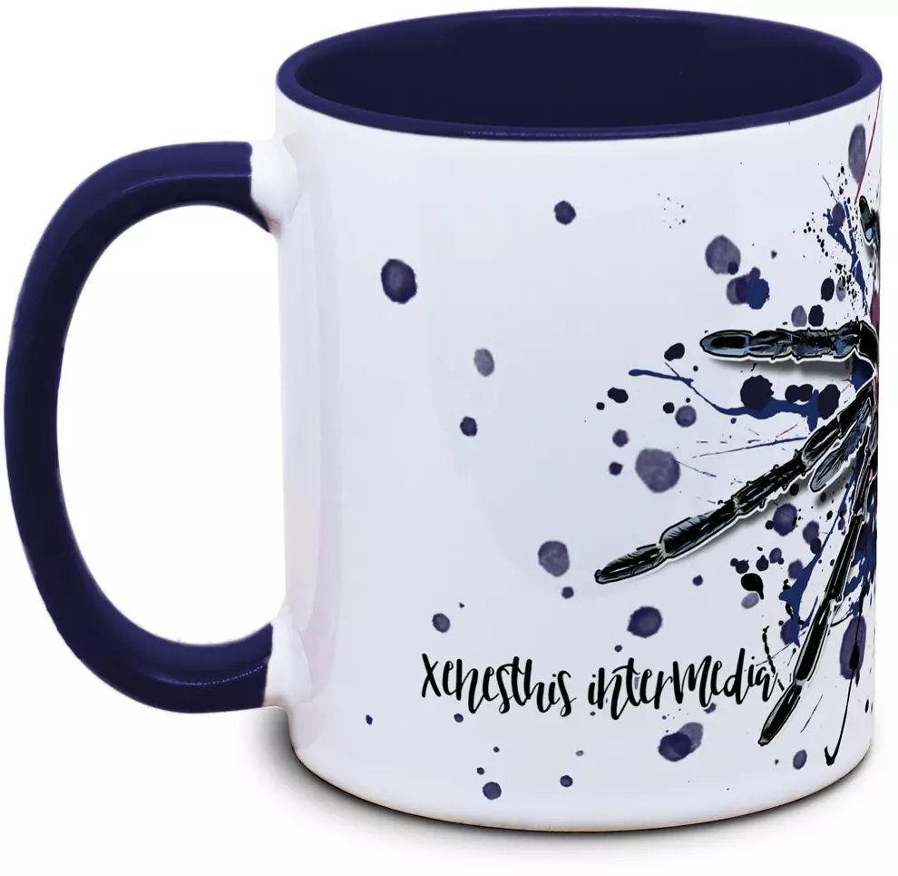 Xenesthis intermedia - Tassenkasper