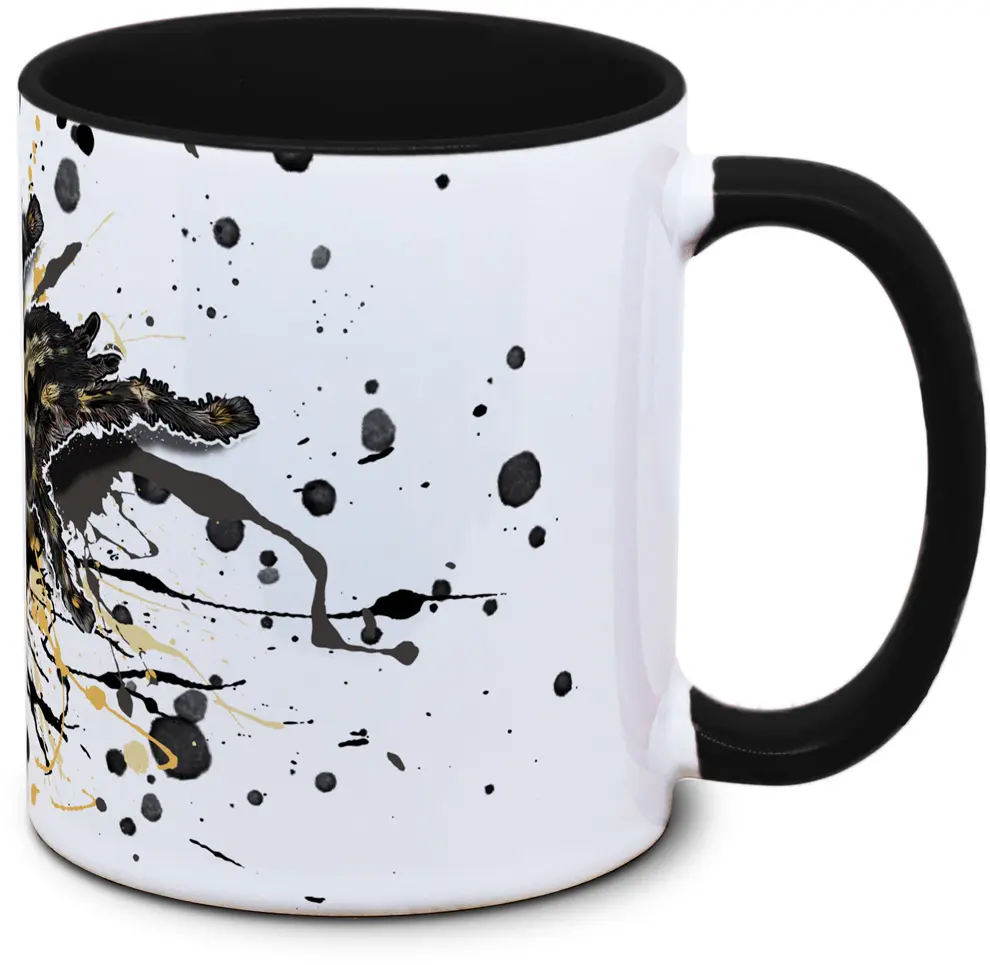 Poecilotheria subfusca highland - Tassenkasper