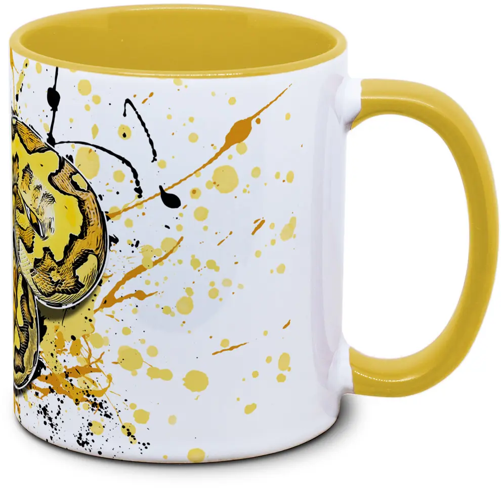 Python regius Super Disco Clown- Tassenkasper