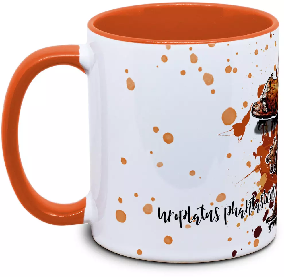 Uroplatus phantasticus - Tassenkasper