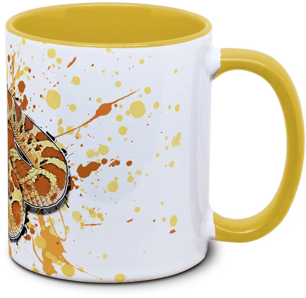 Heterodon nasicus Pastel Conda - Tassenkasper