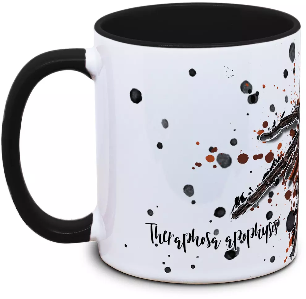 Theraphosa apophysis - Tassenkasper