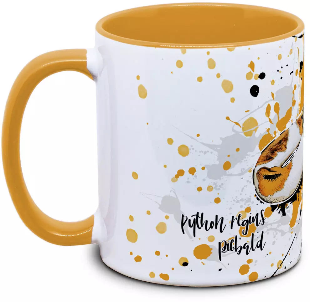 Python regius piebald - Tassenkasper