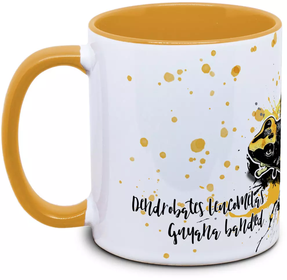 Dendrobates leucomelas Guyana banded - Tassenkasper