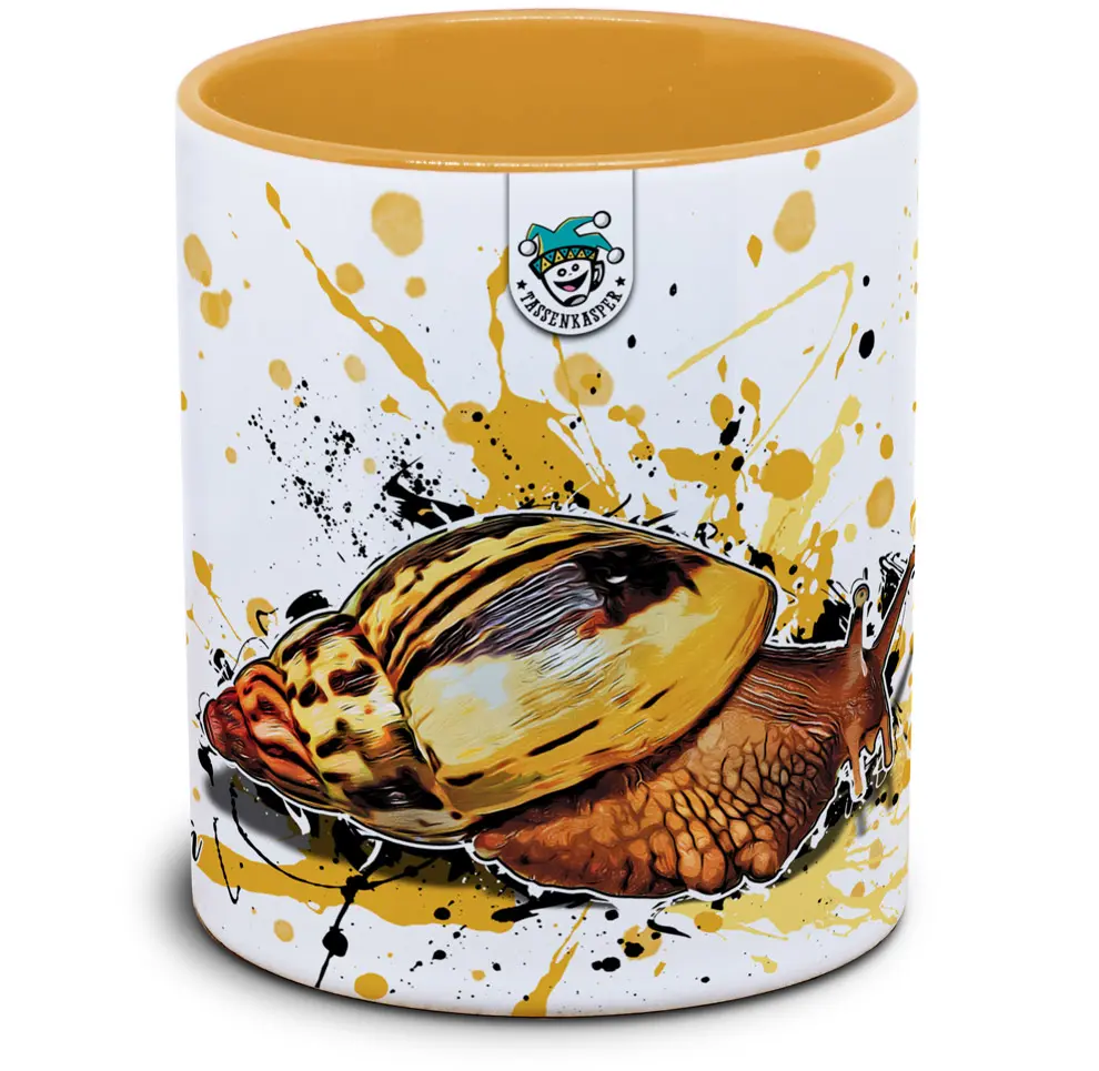 Lissachatina albopicta - Tassenkasper