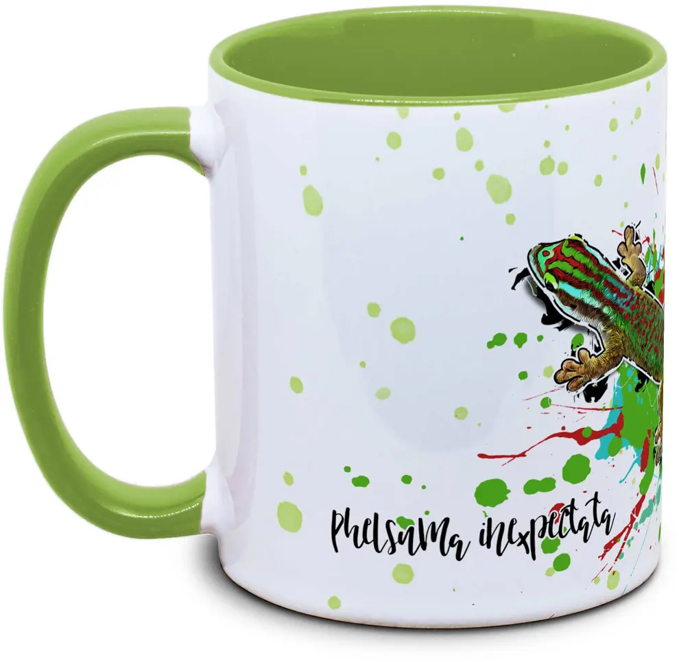 Phelsuma inexpectata - Tassenkasper