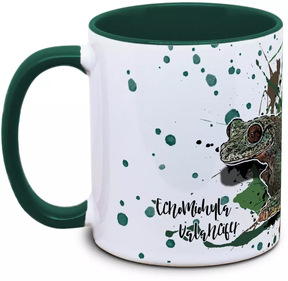 Ecnomiohyla valancifer - Tassenkasper