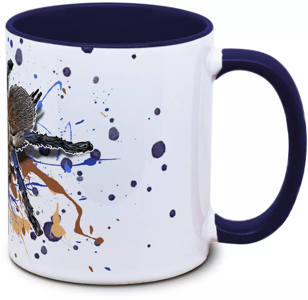 Monocentropus balfouri - Tassenkasper