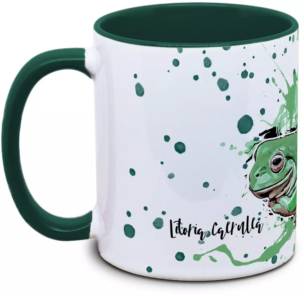 Litoria caerulea - Tassenkasper