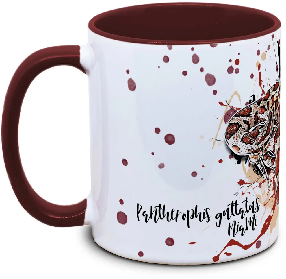 Pantherophis guttatus Miami - Tassenkasper