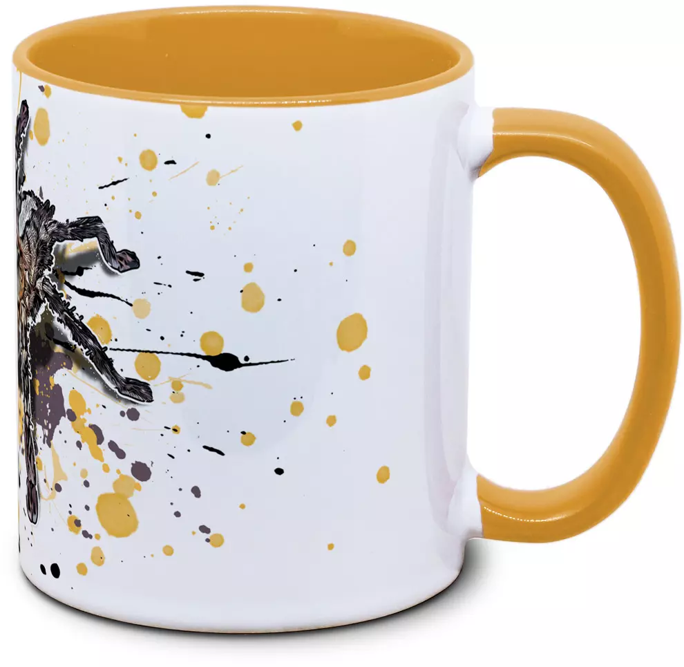 Poecilotheria ornata - Tassenkasper