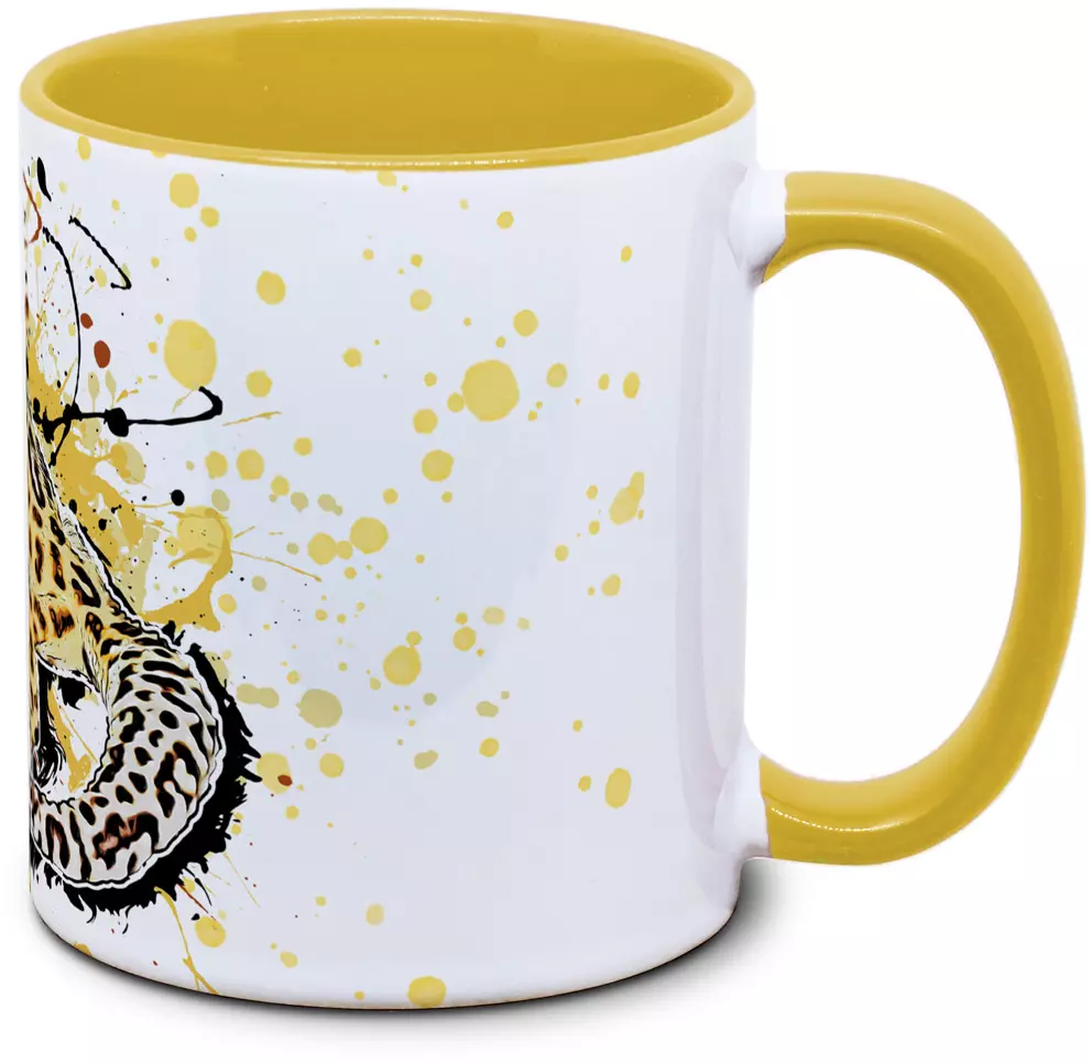 Eublepharis macularius - Tassenkasper